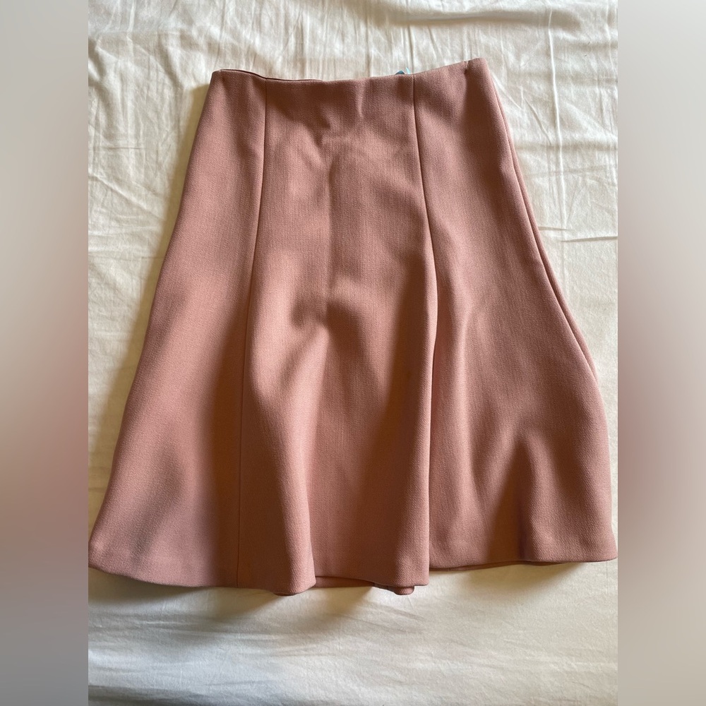 Ann Taylor Pink Women's Skirt